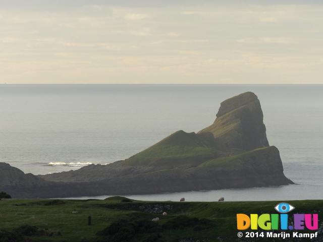 FZ010273 Worms head, Rhossili